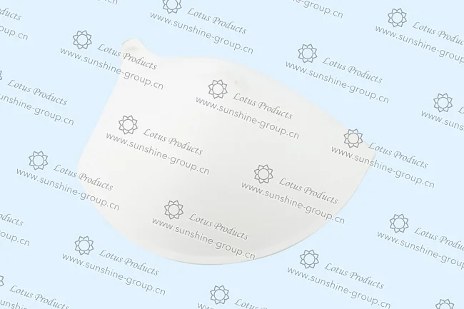 Ningbo sunshine import and export co., ltd. | bra cup (25)