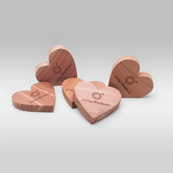 Ningbo sunshine import and export co., ltd.
